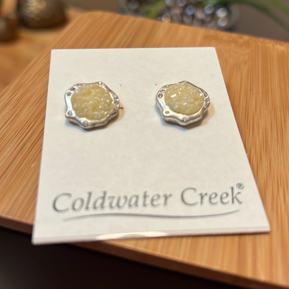 Coldwater Creek winter charm earrings NWT